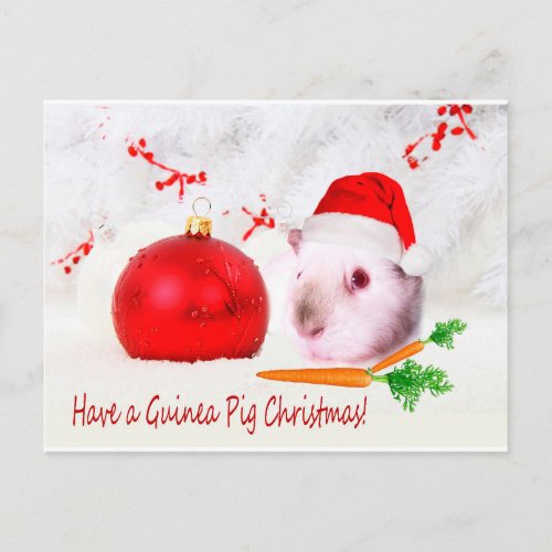 Have a Guinea Pig Christmas Holiday Postcard