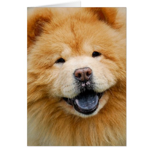 Have A Happy (Front)