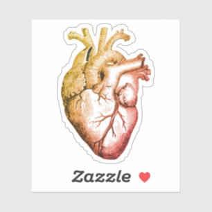 Have a Heart sticker