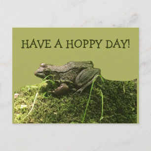 Have a Hoppy Day Frog Photo Green Postcard