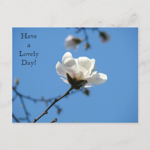 Have a Lovely Day postcard White Magnolia Spring