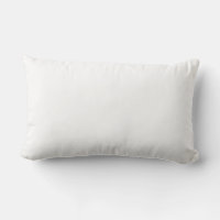 Niceday, Other, Lumbar Support Pillow
