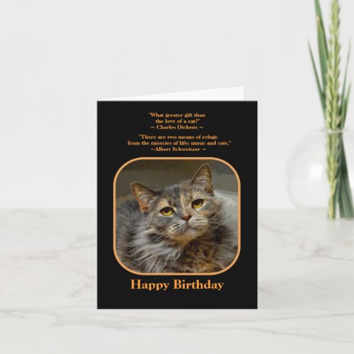 Have a meow_velous Birthday Tortoiseshell Cat Card