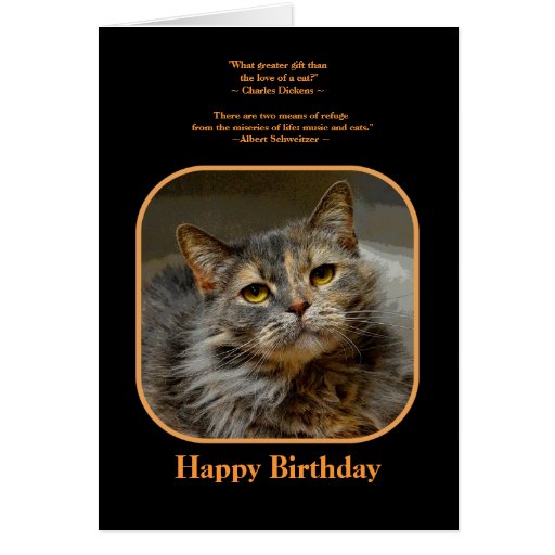 Have a meow-velous Birthday Tortoiseshell Cat Card | Zazzle