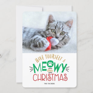 Lot 14 Christmas Cards Cat Dog Pet Assorted Variety Lot Animal Lovers 