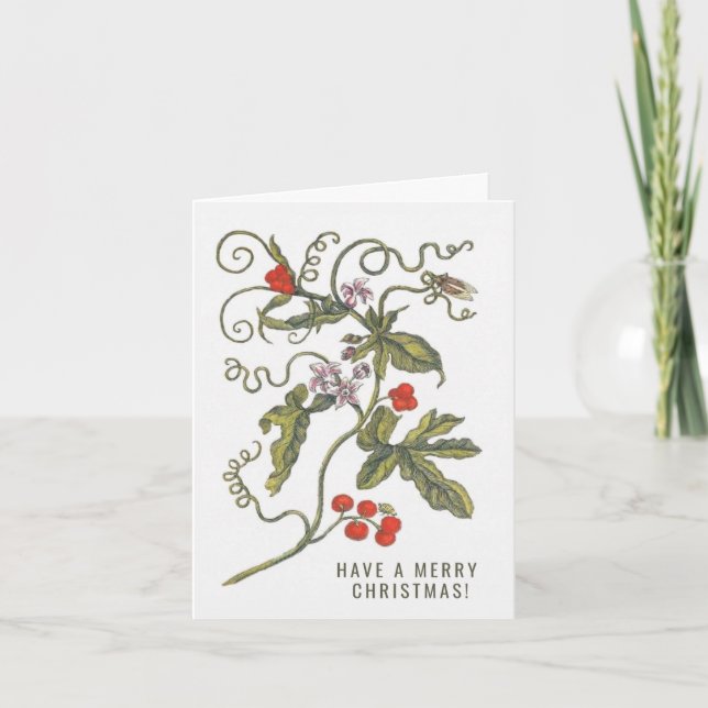 Have A Merry Christmas Card (Front)