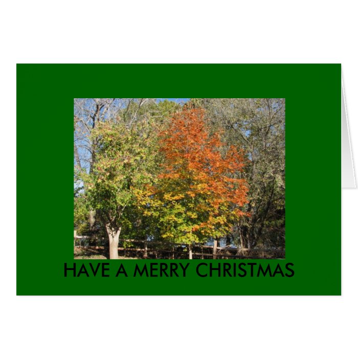 HAVE A MERRY CHRISTMAS GREETING CARDS