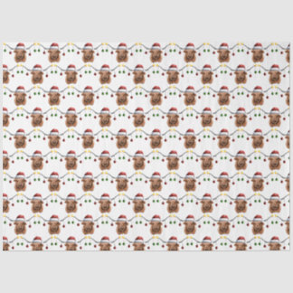 Have a Merry Hielan Coo Christmas Tissue Paper