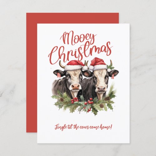 Have a Mooey Christmas Cows Christmas  Invitation