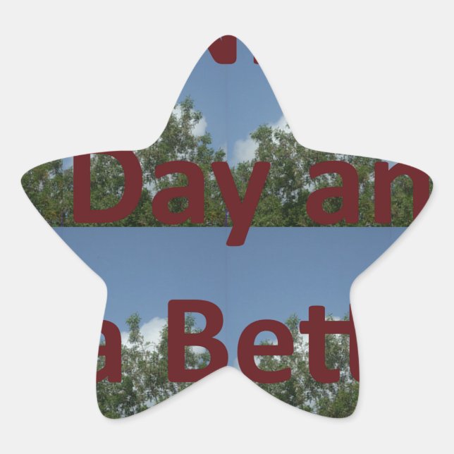 Have a Nice Day & a Better Night Art Star Sticker (Front)