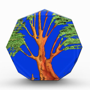 Have a Nice Day African  ECO Blue Sky Acacia Tree  Acrylic Award