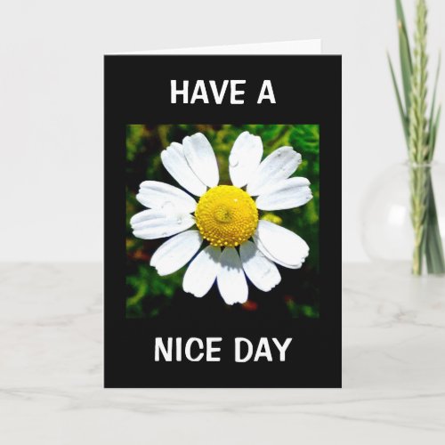 Have A Nice Day Birthday Card