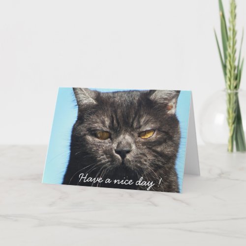 Have a nice day _ Cat greeting card