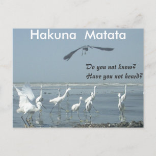 Have a Nice Day Customize Product Postcard