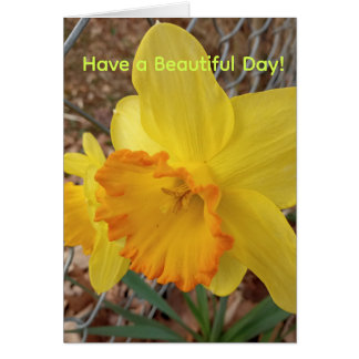 Have a Nice Day greeting w/ Daffodil 