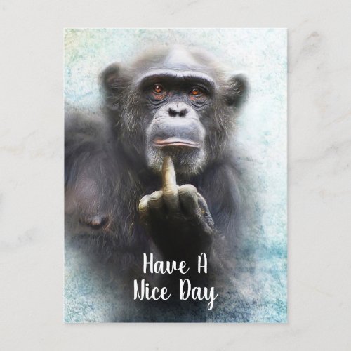 Have A Nice Day Middle Finger Offensive Funny Ape Postcard