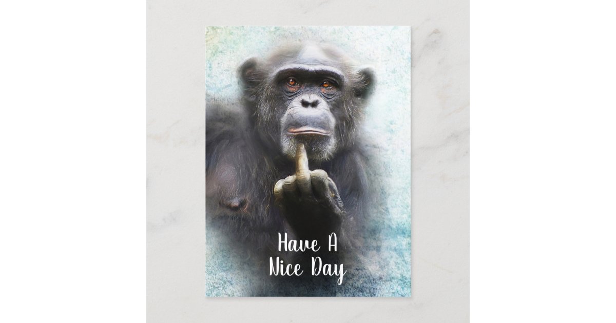Have A Nice Day Middle Finger Offensive Funny Ape Postcard | Zazzle