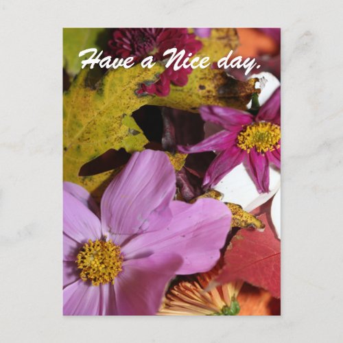 Have a Nice day Postcard