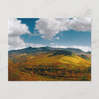 Have a nice day postcard