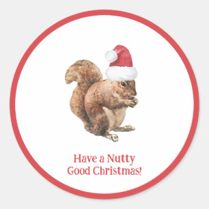 Have a NUTTY Good Christmas Squirrel Holiday   Classic Round Sticker
