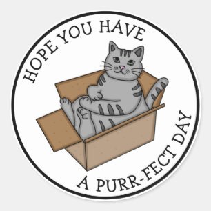 Have a Purr-fect Day Funny Cat in a Box Classic Round Sticker