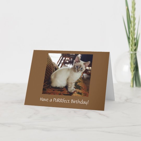 Have a Purrfect Birthday Greeting Card | Zazzle.com