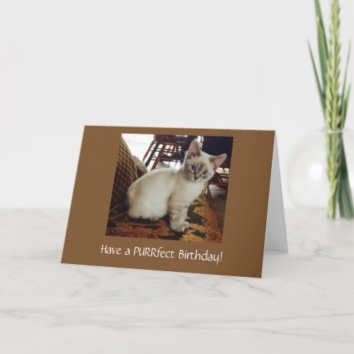 Have a Purrfect Birthday Greeting Card