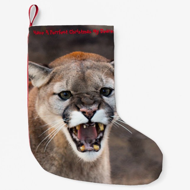 Have a Purrrfect Christmas Small Christmas Stocking (Front)