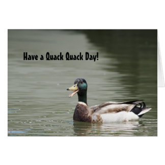 Have a Quack Quack Day! Cards