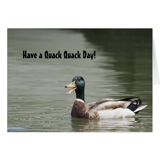 Have a Quack Quack Day! Cards (Front Horizontal)
