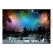 Have A Sensational Season! Hubble Space Telescope (Front Horizontal)