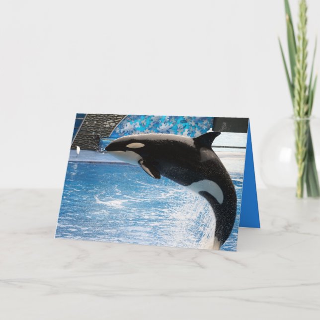 Have a Whale of a Day! Card (Front)