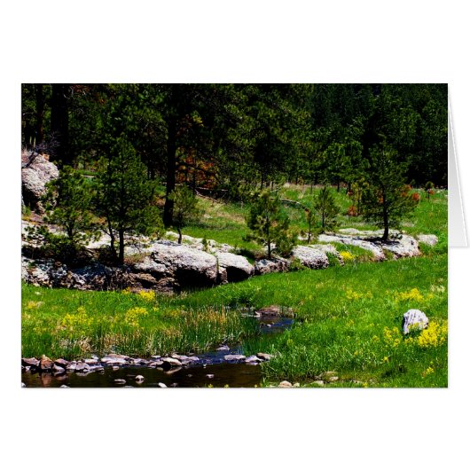 Have a wonderful Day-Spanish language (Front Horizontal)