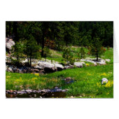 Have a wonderful Day-Spanish language Cards (Front Horizontal)