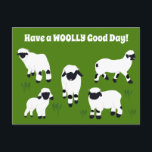 Have a WOOLLY Good Day Valais Blacknose Sheep Postcard<br><div class="desc">This fun postcard is perfect for anyone who loves sheep. It features the message "Have a WOOLLY Good Day!" but can be customized with your own greeting. This postcard has illustrations of Valais Blacknose sheep in white and black set against a bright green background.</div>