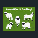 Have a WOOLLY Good Day Valais Blacknose Sheep Postcard<br><div class="desc">This fun postcard is perfect for anyone who loves sheep. It features the message "Have a WOOLLY Good Day!" but can be customized with your own greeting. This postcard has illustrations of Valais Blacknose sheep in white and black set against a bright green background.</div>