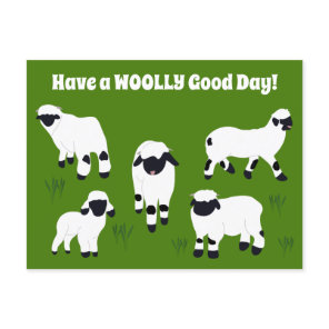 Have a WOOLLY Good Day Valais Blacknose Sheep Postcard