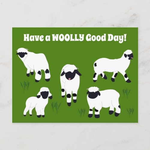 Have a WOOLLY Good Day Valais Blacknose Sheep Postcard