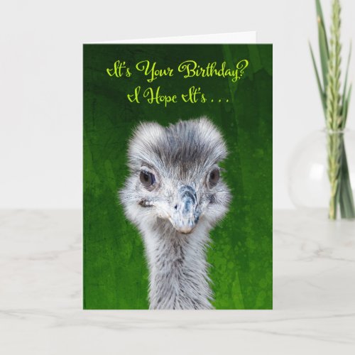 Have an Emusing Birthday  Emu Card