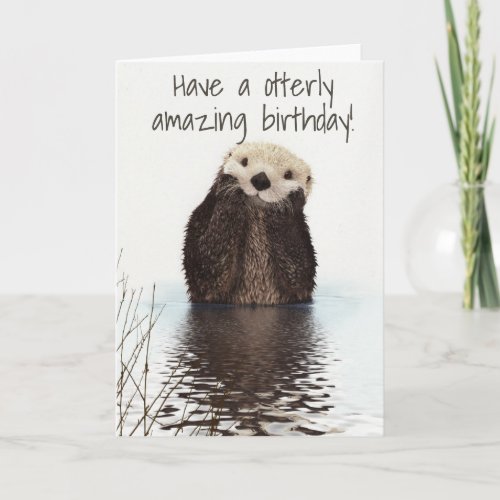 Have an Otterly Amazing Birthday Otter