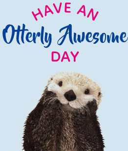 have_an_otterly_awesome_day_cute_otter_photo_plaque-r7d3bb554894c4e309089e89bb7129400_a5ab7_8byvr_307.jpg?rvtype=content
