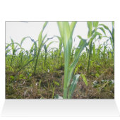 Have Faith (Inside Horizontal (Top))