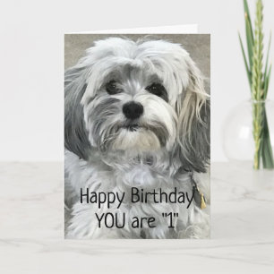 HAVE FUN LITTLE ONE **1st** BIRTHDAY Card