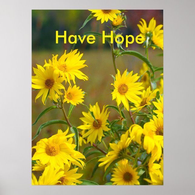 Have Hope Motivational Poster (Front)