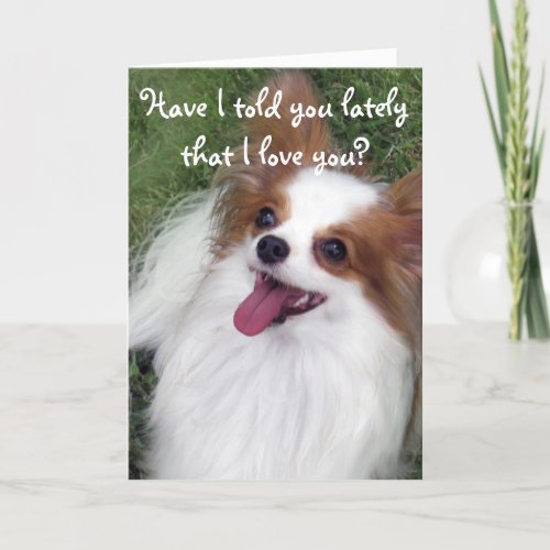 Have I told you lately that I love you papillon ca Card