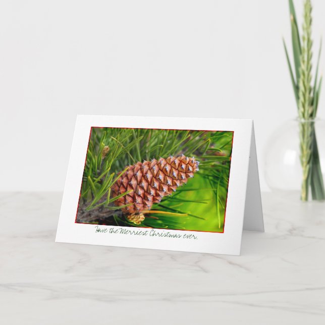 Have the Merriest Christmas ever Holiday Card (Front)