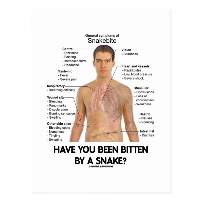 Have You Been Bitten By A Snake? (Snake Bite) Post Cards