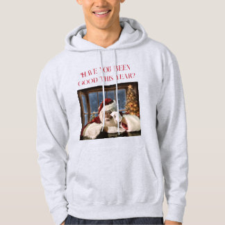Have you been good this year? Hoodie