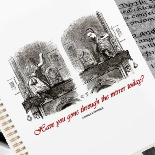 Have You Gone Through The Mirror Today? Wonderland Planner (Wonderland planner for anyone interested in a Wonderland adventure!)