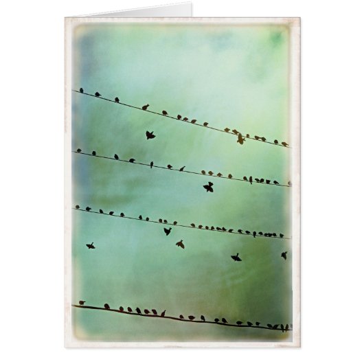 Have you heard? - Blank (Front)